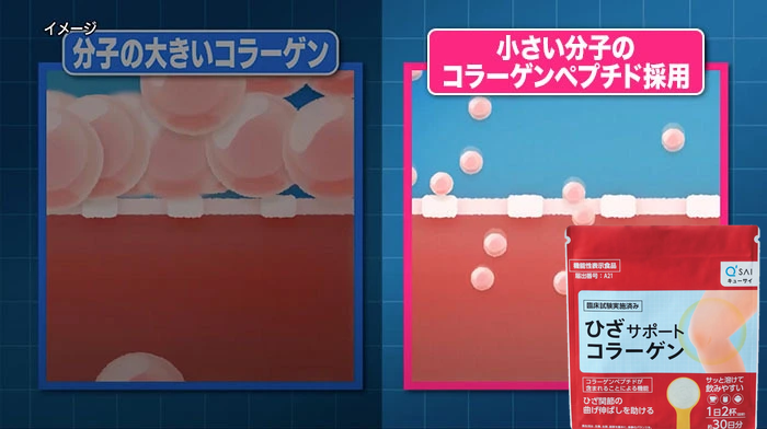 通常のコラーゲンと低分子コラーゲン（コラーゲンペプチド）の吸収イメージ比較